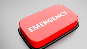 emergency preparedness handbook blog